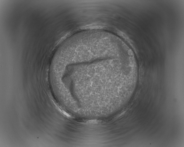 X0000080690153200701121734