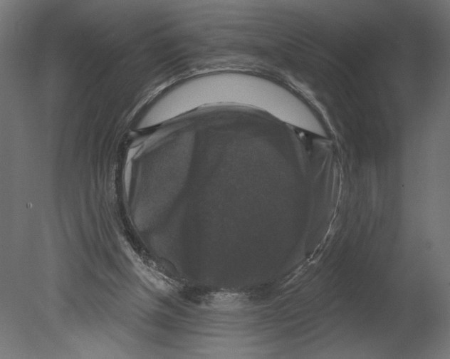 X0000080690154200701121734