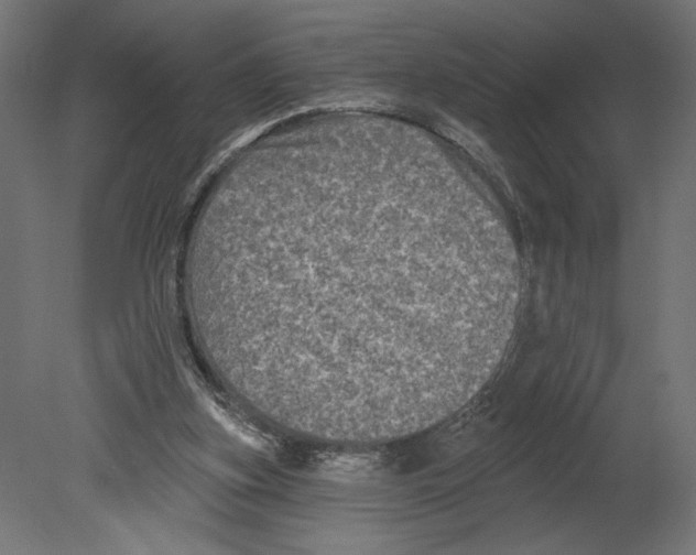 X0000080690155200701121734