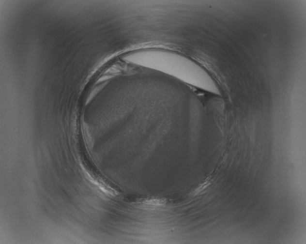 X0000080690156200701121734