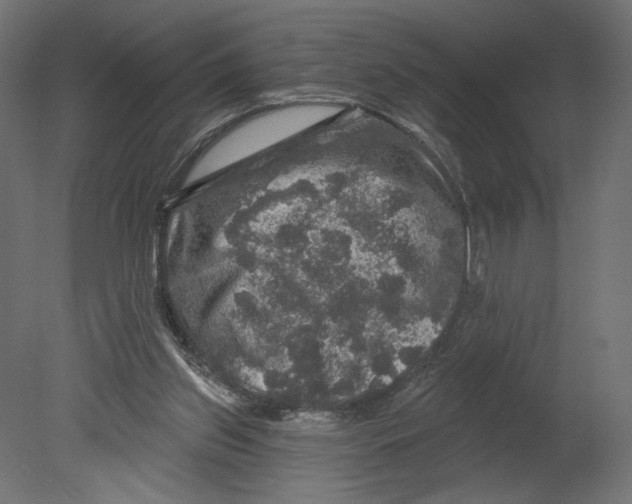 X0000080690157200701121734