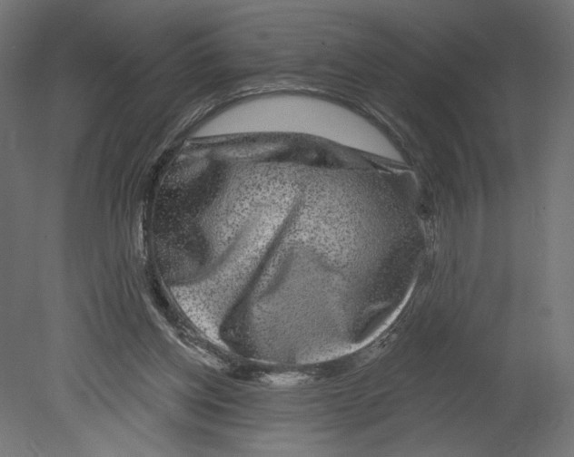 X0000080690158200701121734