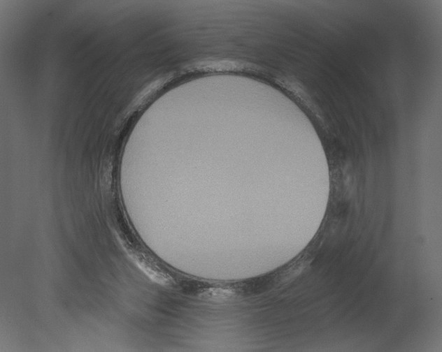 X0000080690159200701121734