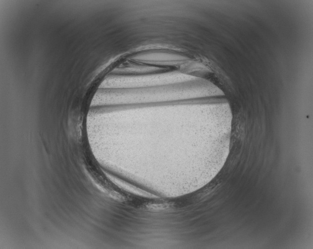 X0000080690160200701121734