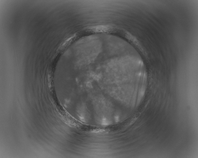 X0000080690161200701121734