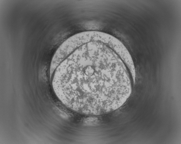 X0000080690162200701121734