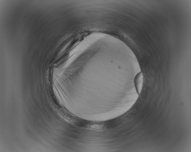 X0000080690163200701121734