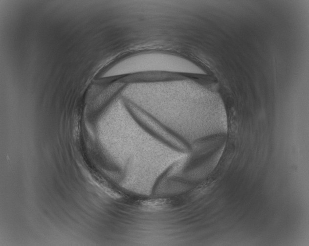 X0000080690164200701121734