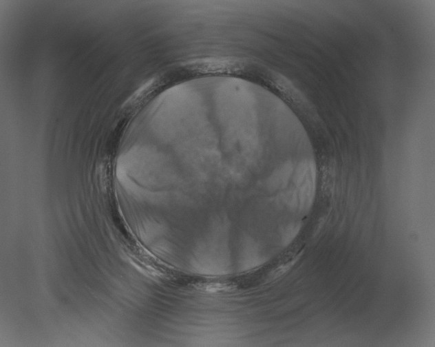 X0000080690165200701121734