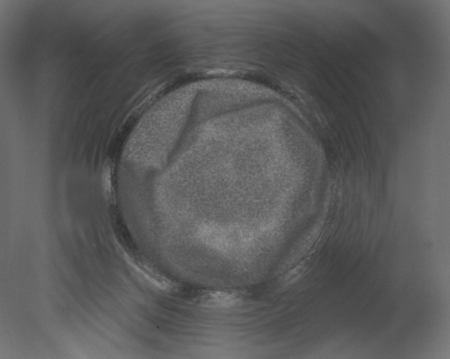 X0000080690166200701121734