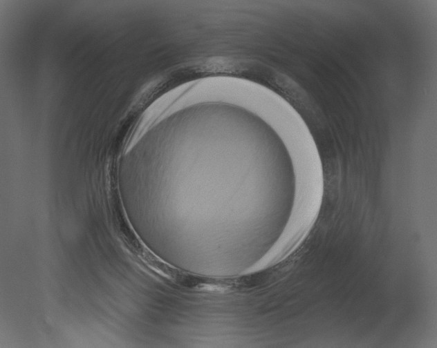 X0000080690167200701121734