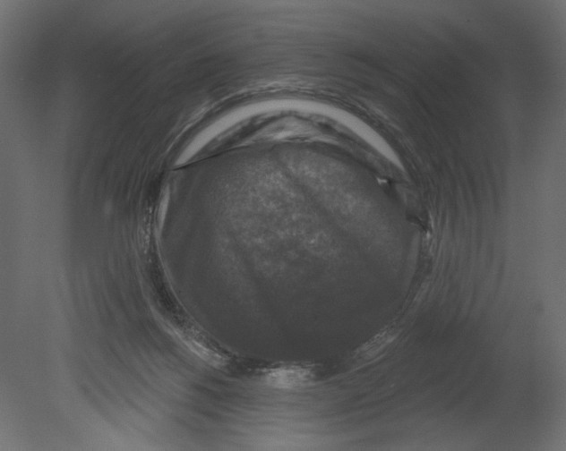 X0000080690168200701121734