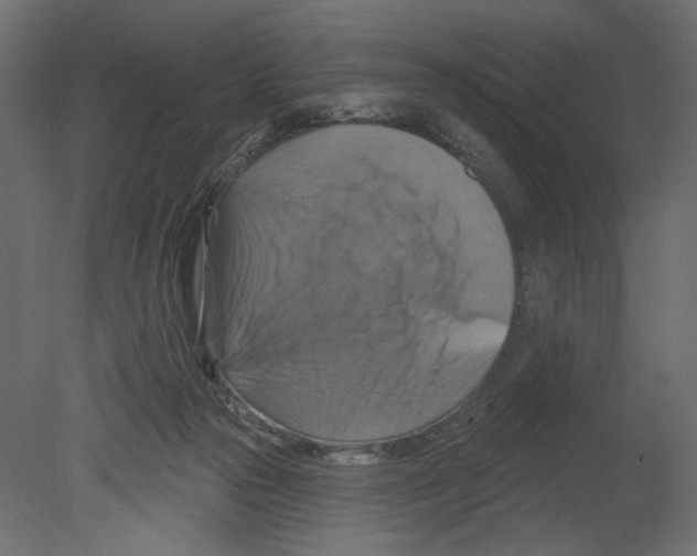 X0000080690169200701121734