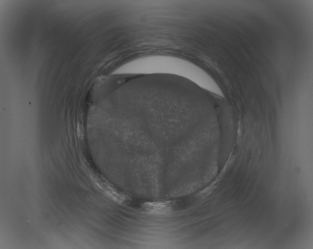 X0000080690170200701121734