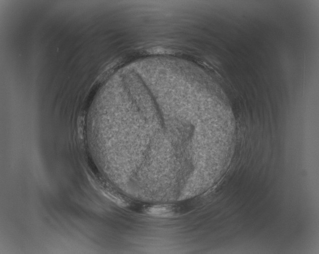 X0000080690171200701121734