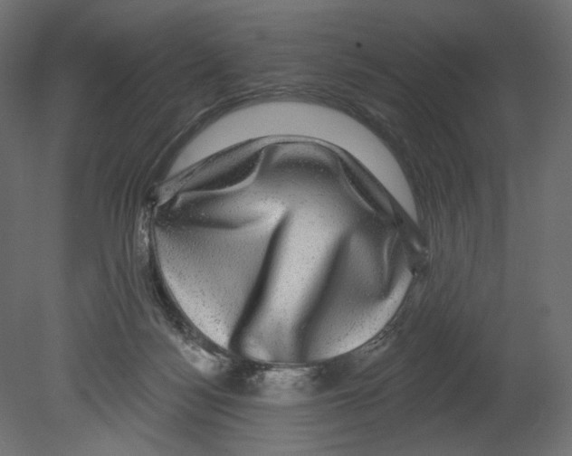 X0000080690172200701121734