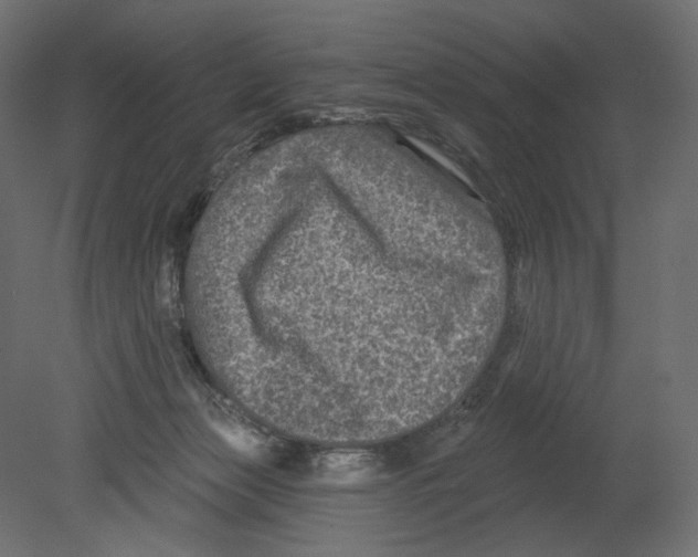 X0000080690173200701121734