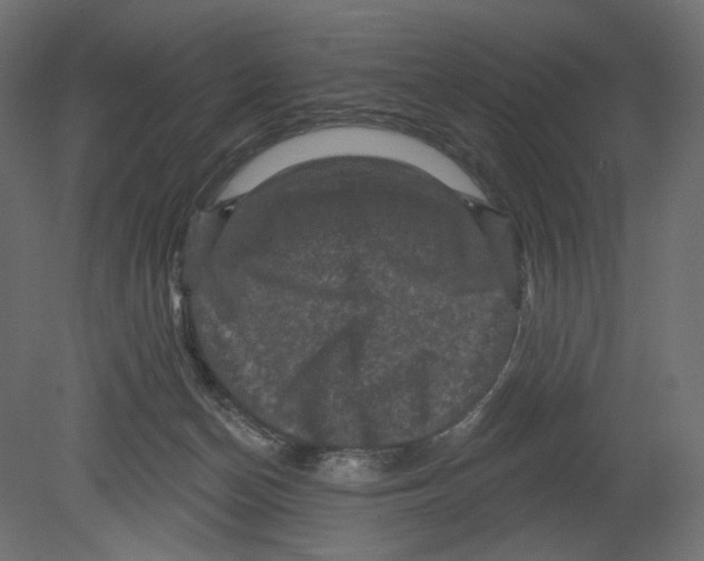 X0000080690174200701121734