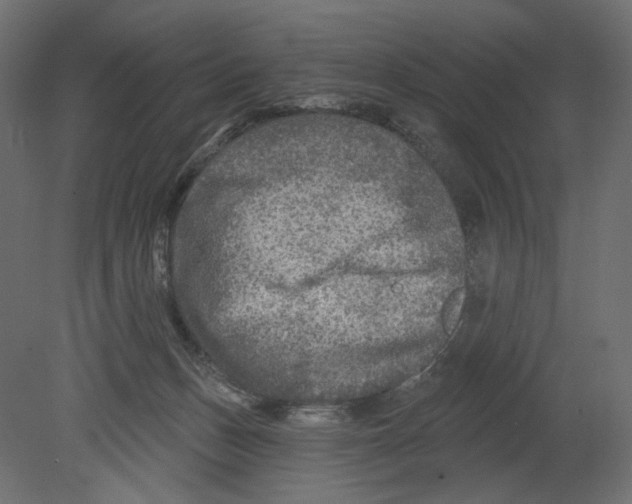 X0000080690175200701121734