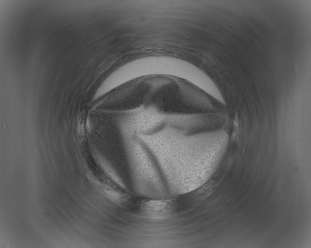 X0000080690176200701121734