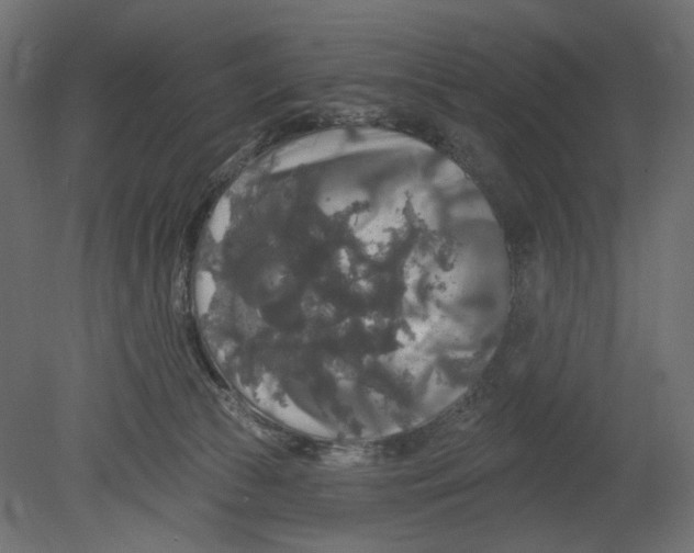 X0000080690177200701121734