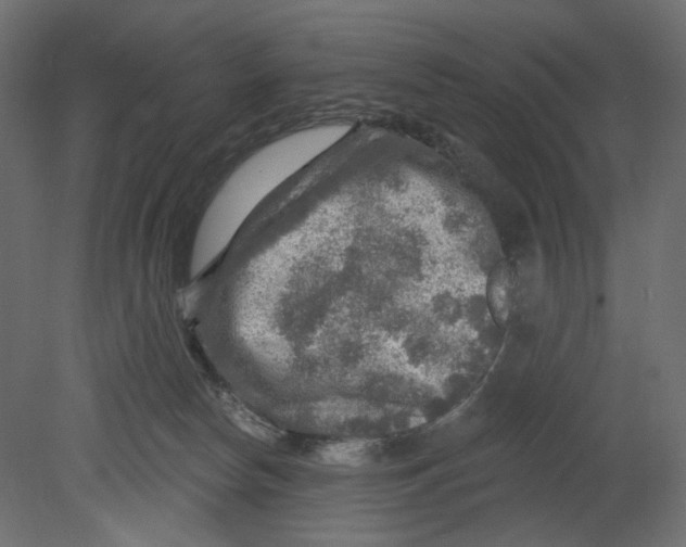 X0000080690178200701121734