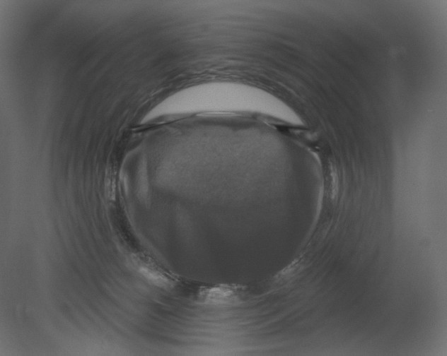 X0000080690180200701121734