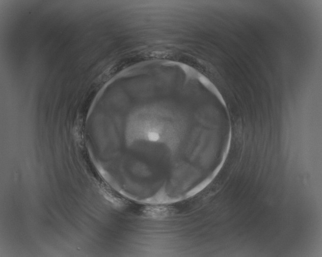 X0000080690181200701121734