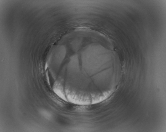 X0000080690182200701121734