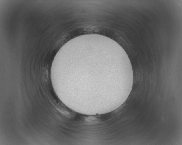 X0000080690183200701121734