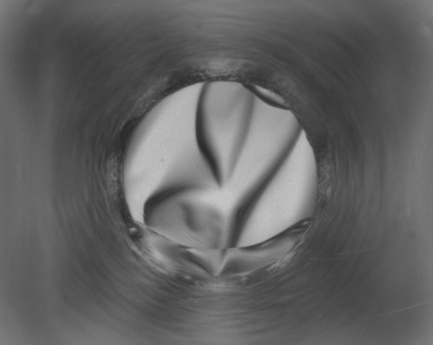 X0000080690184200701121735