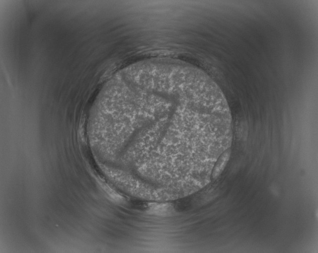 X0000080690185200701121735