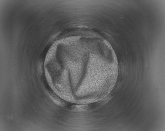 X0000080690188200701121735