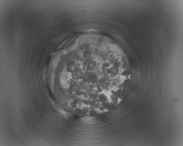 X0000080690189200701121735