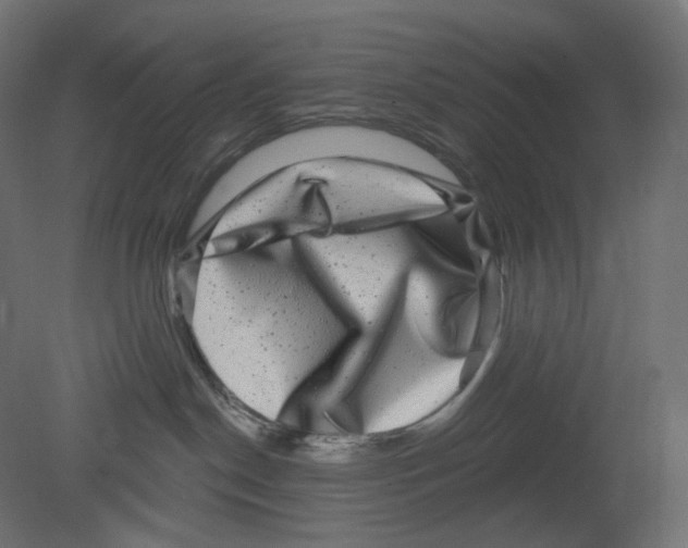 X0000080690190200701121735