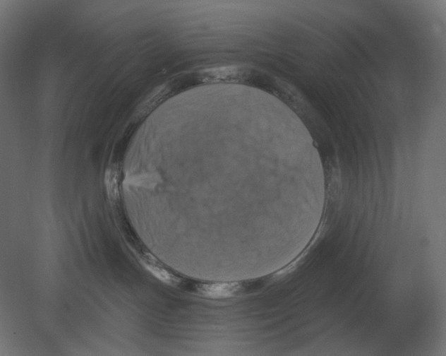 X0000080690191200701121735