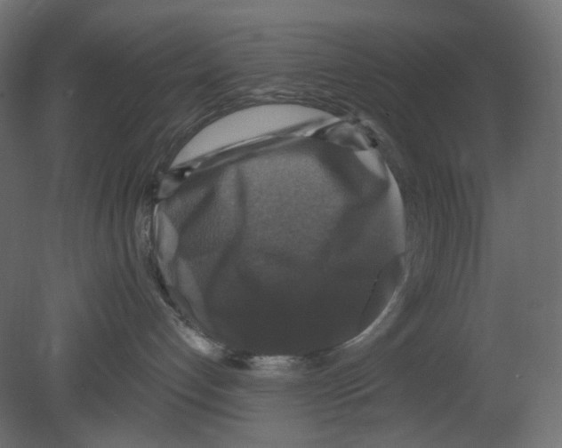 X0000080690192200701121735