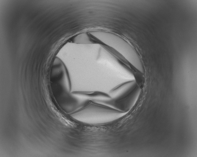 X0000080690193200701121734