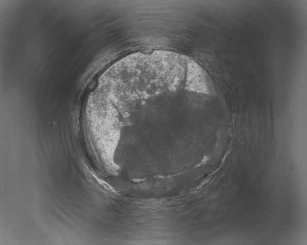 X0000080690194200701121734