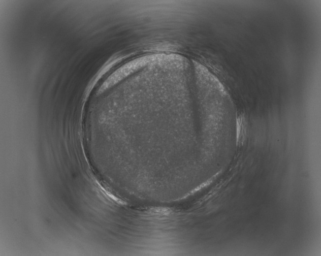 X0000080690195200701121734