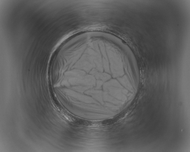 X0000080690196200701121734