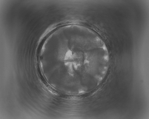 X0000080690198200701121734