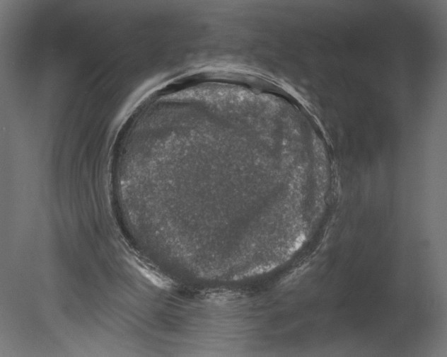 X0000080690199200701121734