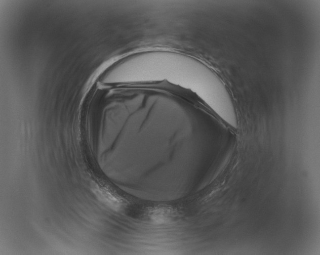 X0000080690200200701121734