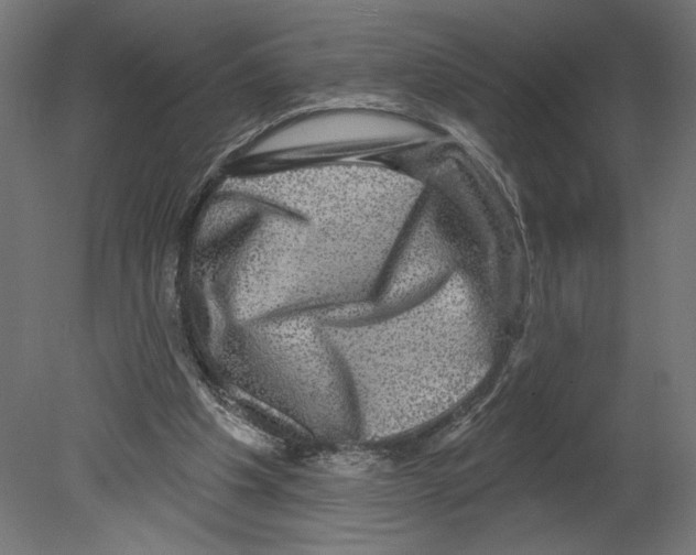 X0000080690201200701121734