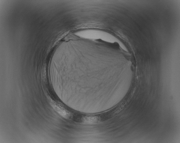 X0000080690202200701121734