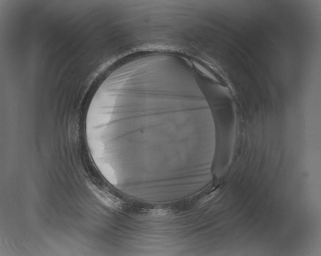 X0000080690204200701121734