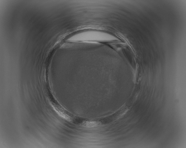 X0000080690205200701121734