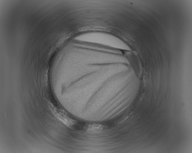 X0000080690206200701121734