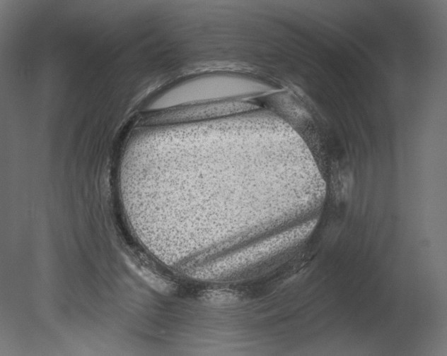 X0000080690207200701121734